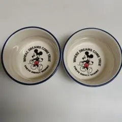 Item thumbnail for item cefd4fe0-dd43-4725-bad0-568cfa54ea78