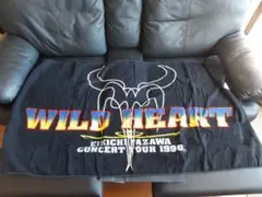 Item thumbnail for item e9d93ed7-ea13-46e3-85c9-0bee7fcfa734