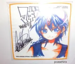 Item thumbnail for item 62d01431-d5c5-4e04-a125-f84b44507de8