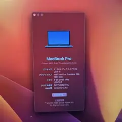 MacBook Pro 13-inch 2017本体