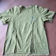レア　希少　mont-bell モンベルTシャツ　XSサイズ　昆虫　コットン　綿