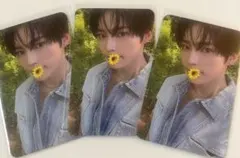 MusicKorea ヨントン 花トレカ ゼベワン ハンビン3枚セット