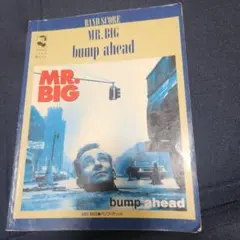 Item thumbnail for item 945c8d6b-b9f8-46d1-bf0f-ef8874771f46