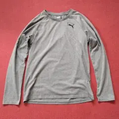 【PUMA】プーマ ロンT S グレー