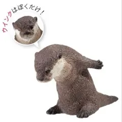 おじぎさん　カワウソ