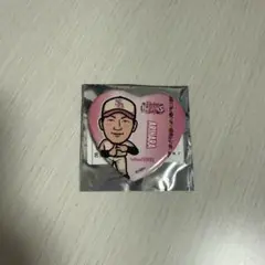 有原航平　ピンクフルデー