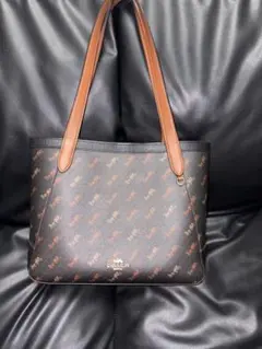 Item thumbnail for item a0d5ddf4-96b7-4962-99a1-1f50b58ac19a