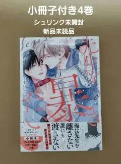 先生を暴きたい 4巻　小冊子付き　うすいしっぽ