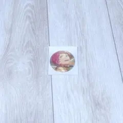 あんスタ 斎宮宗 シャッフル 缶バッジ