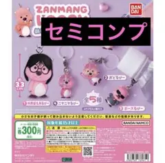 ZANMANG LOOPY めじるしアクセサリー コンプリートセット ガチャ