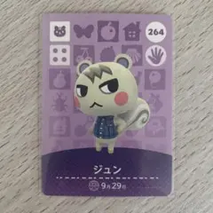 【匿名配送】amiiboカード　ジュン　あつまれどうぶつの森