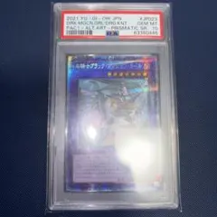 竜騎士ブラックマジシャンガール　プリシク　psa10