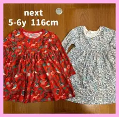 ✧*。NEXT 5-6y 116cm 長袖ワンピース 動物、クリスマス✧*。