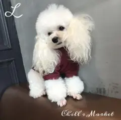 ann様 リクエスト 2点 まとめ商品