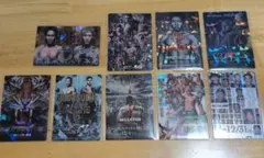 rizin　ポテトスティック　カード9枚セット