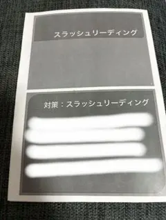 2026年度用鉄緑会高3英語　スラッシュリーディングについて 鉄緑会 高3 英語 スラッシュリーディング対策プリント - メルカリ