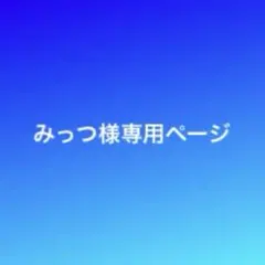 専用ページです