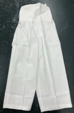 Item thumbnail for item 1f317fe1-f39c-491b-97c8-14973e1994be