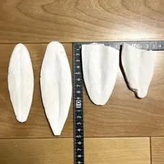 鳥用 カトルボーン 欠けあり4個セット 小鳥のおやつ カルシウム補給のサムネイル