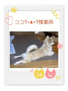 羊毛フェルト　専用ページ