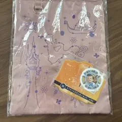 ディズニープリンセス ナイロンバッグ　ラプンツェル　ハッピーくじ