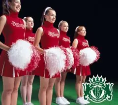 CD + DVD EVERYDAY AT THE BUS STOP