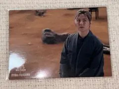 Mrs. GREEN APPLE 藤澤涼架 フォトカ ゼンジン 025