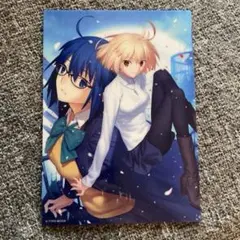 月姫 海外アジア版限定 特典 アクリルパネル 新品 非売品