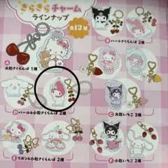 サンリオ きらきらフルーツチャームBOOK マイメロ