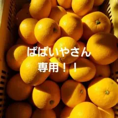 ぱぱいやさん専用！！☆八朔&清見オレンジ☆5キロ(箱込み)　広島県産のサムネイル