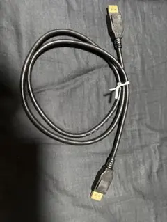 DisplayPort ケーブル (1.2m)未使用