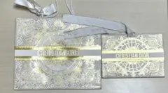 Christian Dior ショップ袋 2枚セットのサムネイル