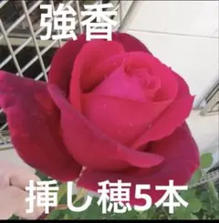 ジュンコ様 リクエスト 2点 まとめ商品