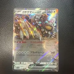 ガチグマアカツキex RR SV8a テラスタルフェスex 134/187