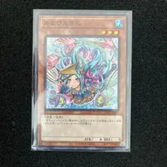 遊戯王 - 遊戯王 OCG版 あまびえさん 20枚セット あまびえさん」プレゼントキャンペーン | おしらせ | 遊戯王OCG