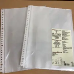 Item thumbnail for item bfae9800-f11a-4de8-9de6-d615f28fafd3