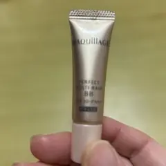 MAQuillAGE パーフェクトマルチベース BB