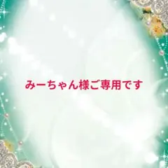 ☆みーちゃん様ご専用です☆