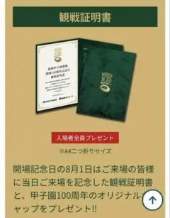 【terutigers1024】甲子園100周年記念ボール（近本選手）観戦証明書 terutigers1024】甲子園100周年記念ボール（近本選手）観戦証明