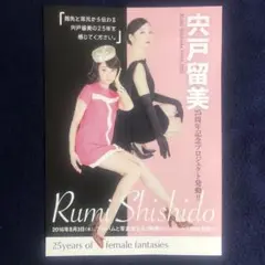 宍戸留美　大サイズポスター 宍戸留美 大サイズポスター 2025年最新】Yahoo!オークション