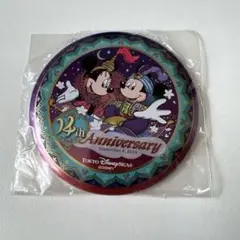 【TDL/TDS】TDS 缶バッジ(TDS 14周年デザイン)