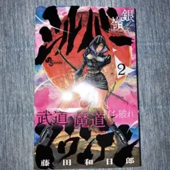 シルバーマウンテン　2