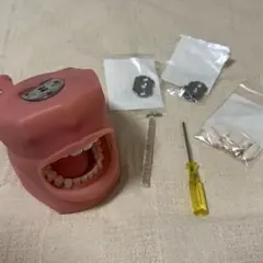 2025年最新】顎模型 歯科衛生士の人気アイテム - メルカリ