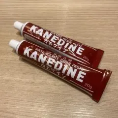 【新品未使用品】KANEDINE 建築模型　20g×2本