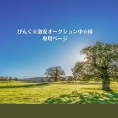ヒロアカ 轟焦凍 めじるしアクセサリー アニマルver.