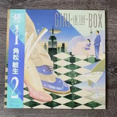 角松敏生　レコード盤　city pop