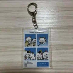 2026年最新】うちのタマ知りませんか キーホルダーの人気アイテム