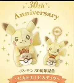 韓国 ポケモン ポップアップ限定 ピカチュウ ぬいぐるみ - メルカリ