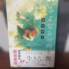 さよならの向こう側 清水晴美
