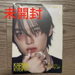 【未開封】リノ　karma accordion accordion